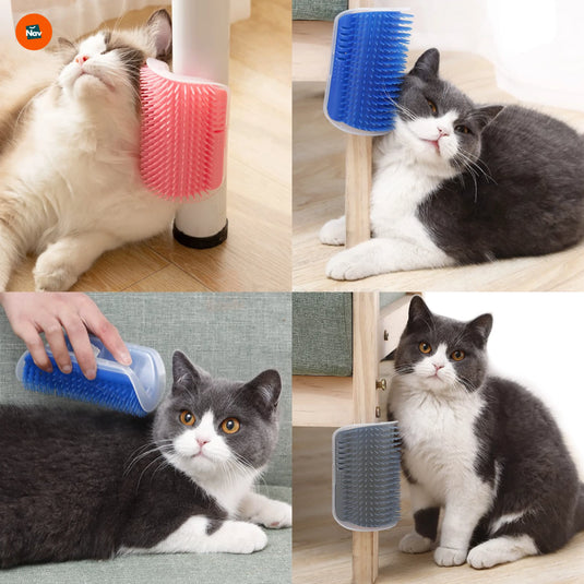 Wall-mounted cat grooming brush