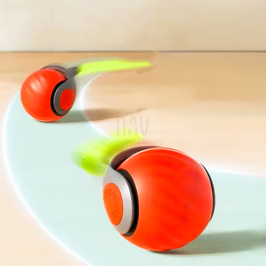 Interactive cat toy action