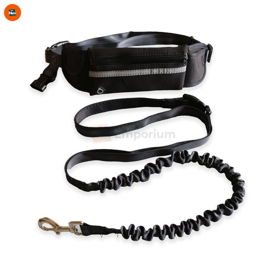 sleek leash overview, running dog leash