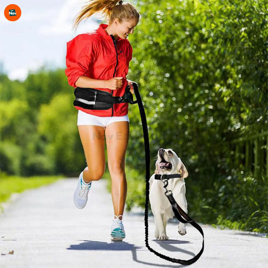 runner using hands free dog leash