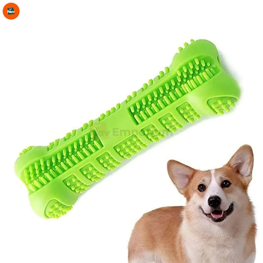 Lifestyle image using dog dental chew toy