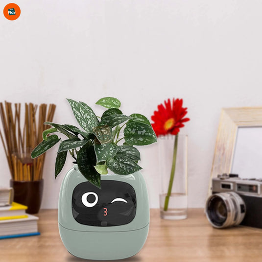 Automated indoor plant pot design
