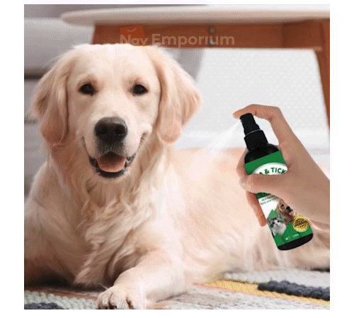 Custom Image