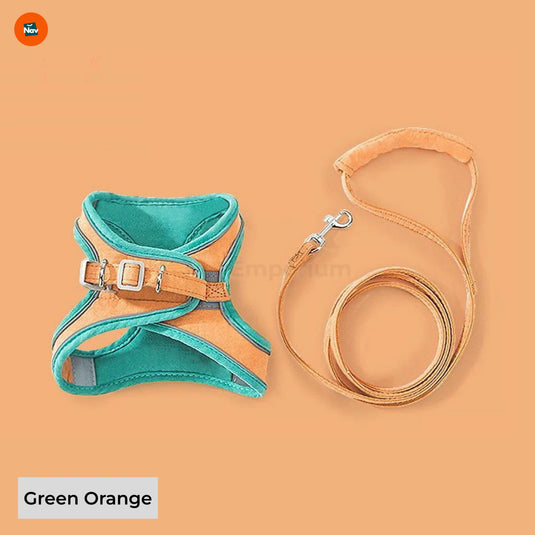 Secure cat walking gear