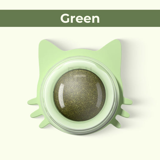 Catnip toy for indoor cats