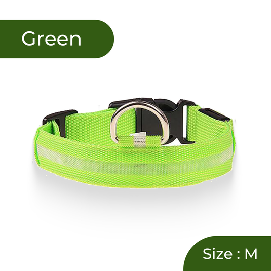 Rechargeable glowing pet necklace