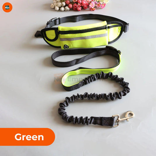 performance metrics of running dog leash