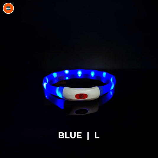 Night bright LED Dog Collar Blue L