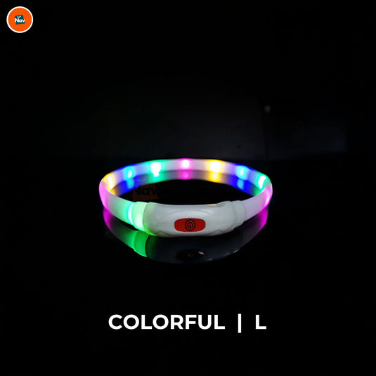 Night bright LED Dog Collar Colourful L