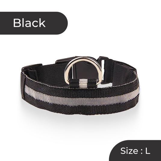 Durable nylon lighted dog collar