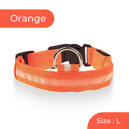 Nighttime safety dog collar