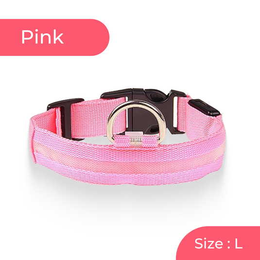 Bright LED dog walking collar