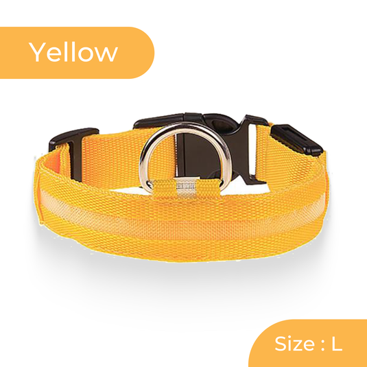 Bright LED dog walking collar 3