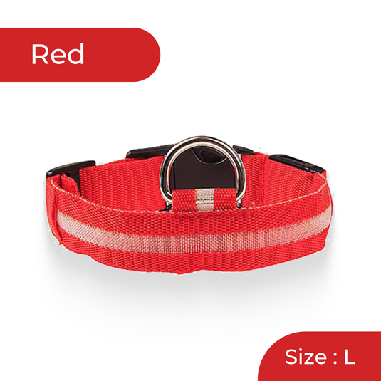 Bright LED dog walking collar 2