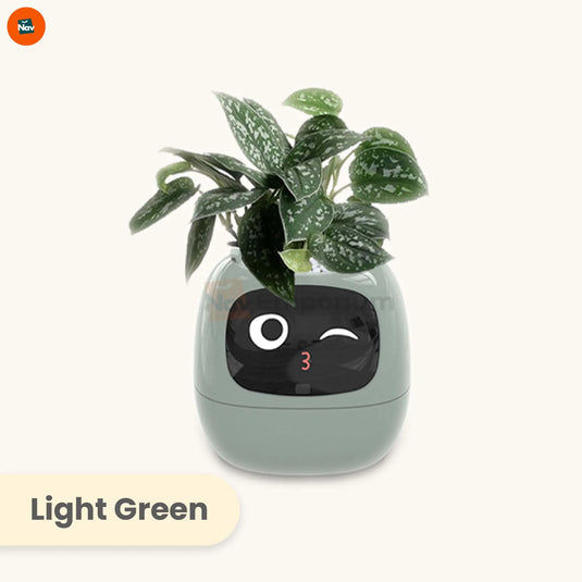 Modern decorative indoor planter