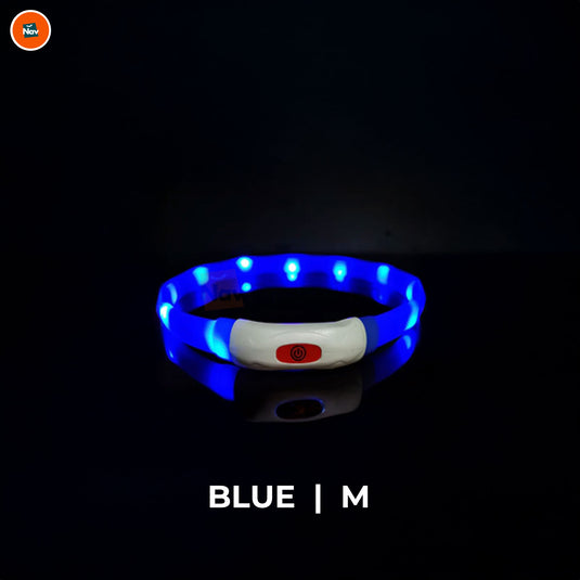 Night bright LED Dog Collar Blue M