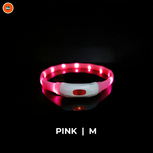 Night bright LED Dog Collar Pink M