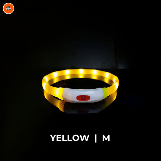 Night bright LED Dog Collar Yellow M