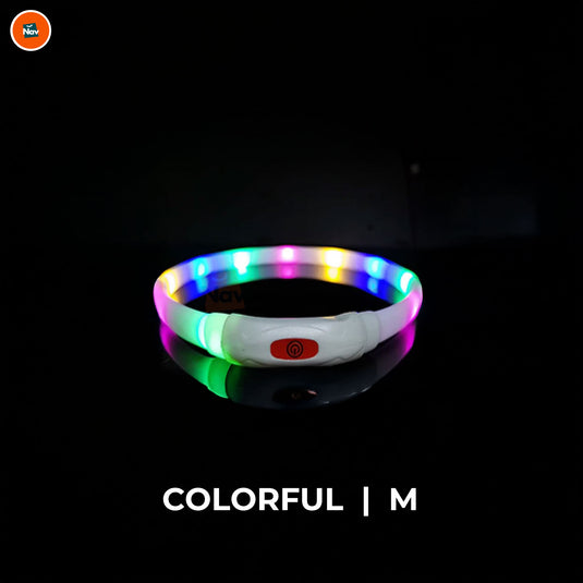 Night bright LED Dog Collar Colourful M