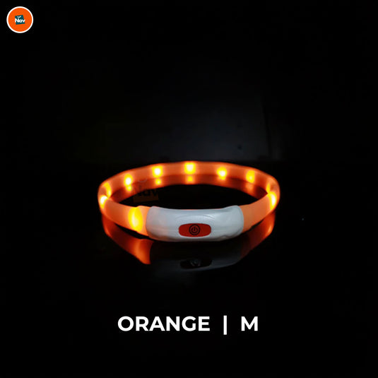 Night bright LED Dog Collar Orange M