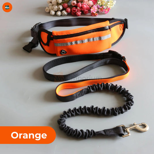 pouch demo, running dog leash