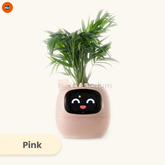 Air purification feature animation