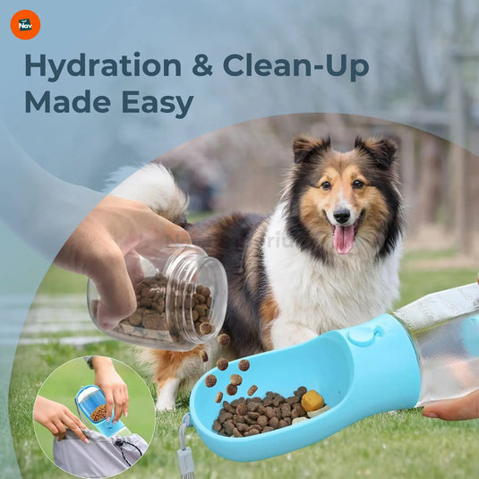 BPA-free pet water bottle