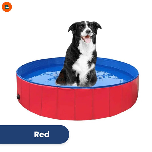 Pet Swimming Pool Backyard
