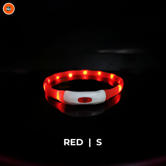 Night bright LED Dog Collar Red S