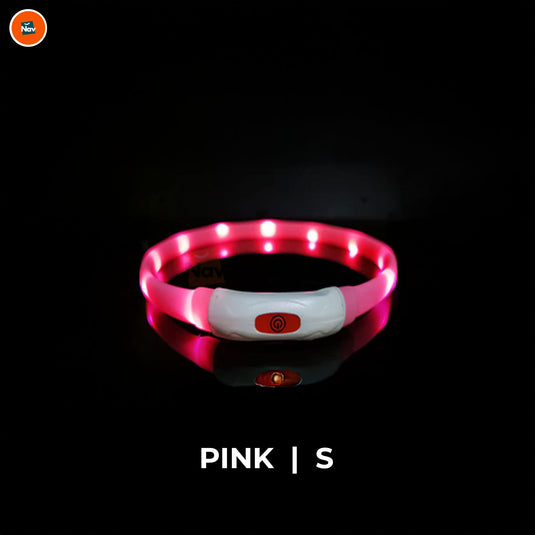 Night bright LED Dog Collar Pink S