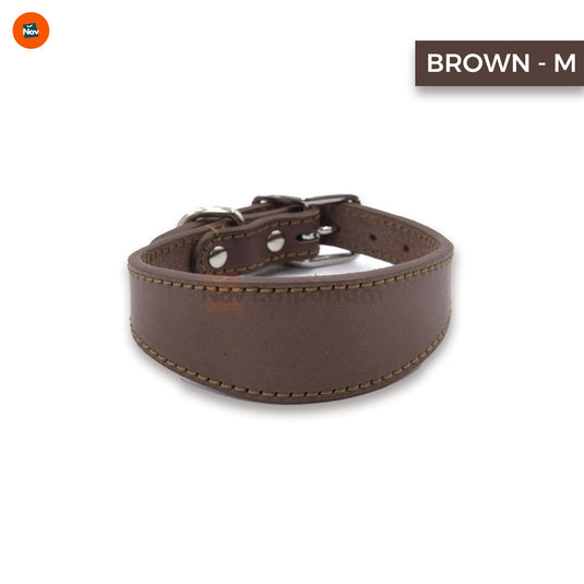 Luxury leather dog collar