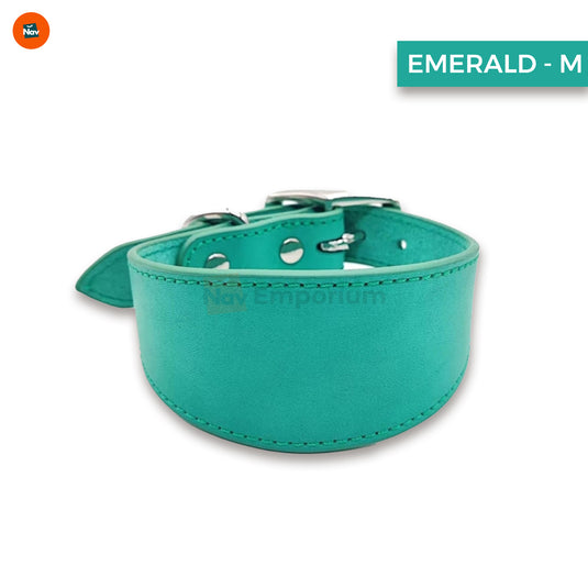 Luxury leather dog collar6