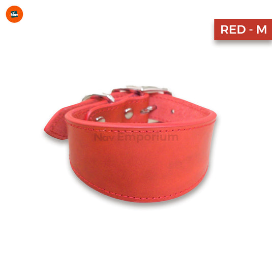 Luxury leather dog collar