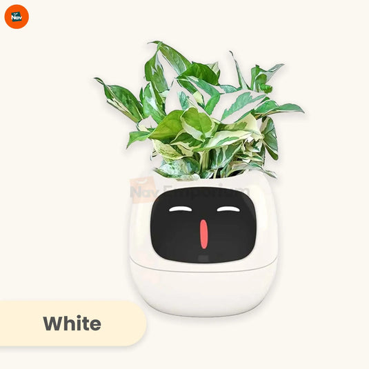 Color change options rotating view
