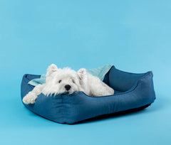 Pet Comfort and Control