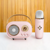VibeMic: Compact Karaoke Fun & Wireless Sound in One