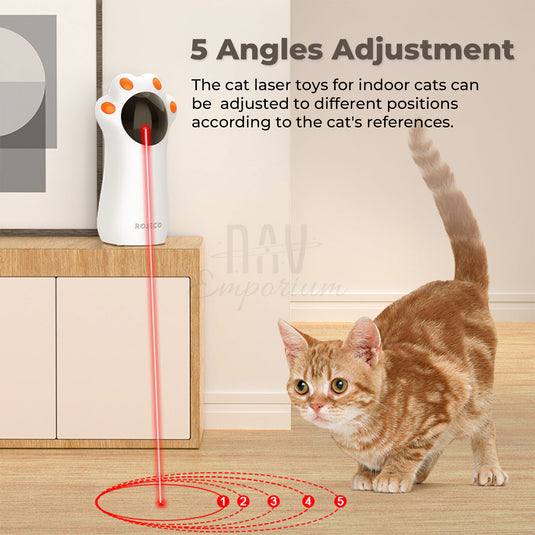 Cat chasing laser pointer