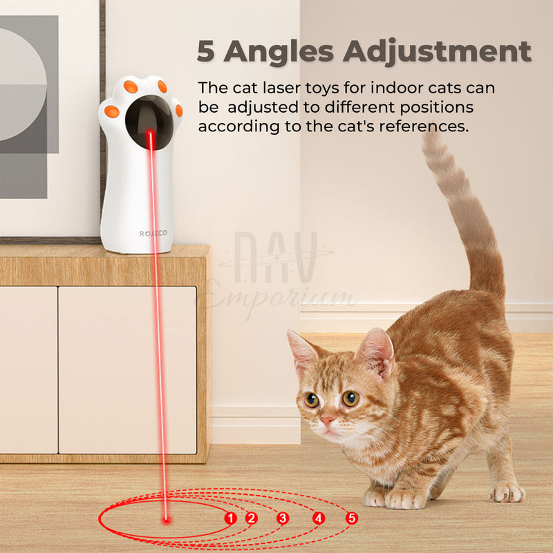 Cat chasing laser pointer