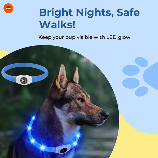 Waterproof light-up dog collar