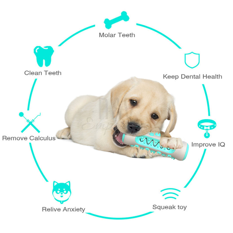 Interactive dog chew toy