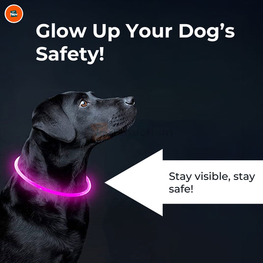 Durable waterproof LED collar material 