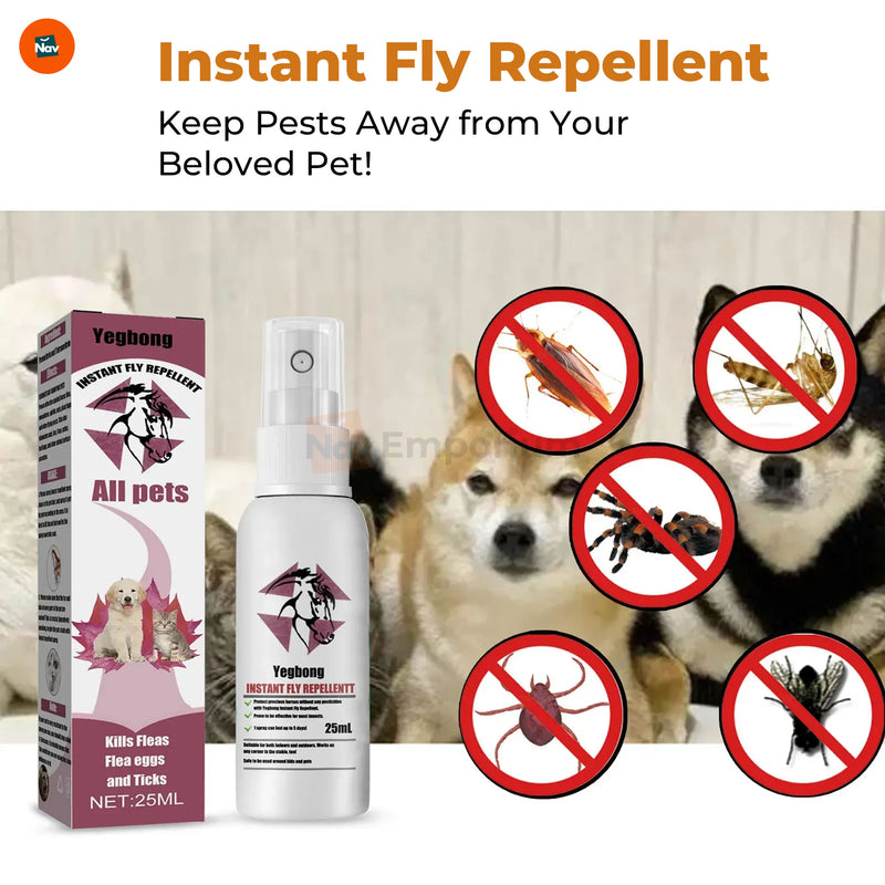 Pet-friendly insect control solution