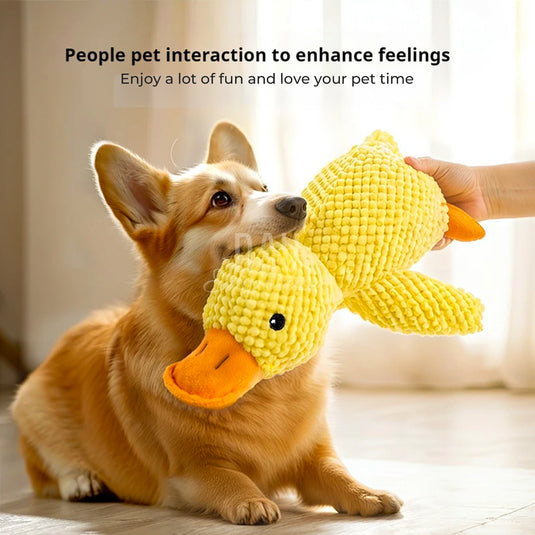 Fuzzy Duck Friend