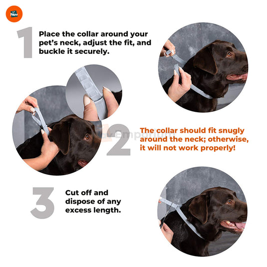 Adjustable pet flea prevention collar