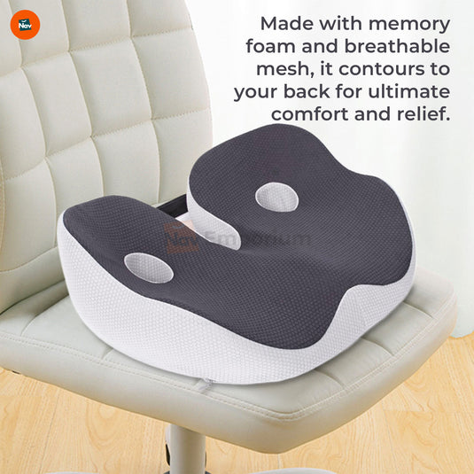 Breathable Mesh Back Support  