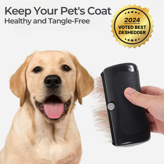 FurGleam: Brush Away Mats for a Flawless Coat