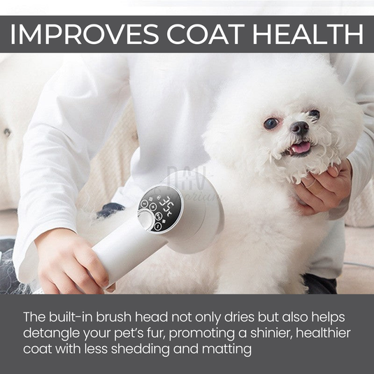 Smart Pet Hair Dryer- Quick, Gentle Drying for Your Furry Friend