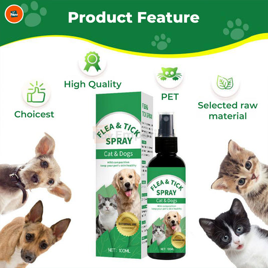 Vet-approved flea treatment