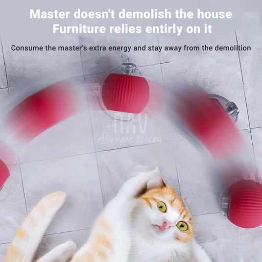 Rolling Pet Toy