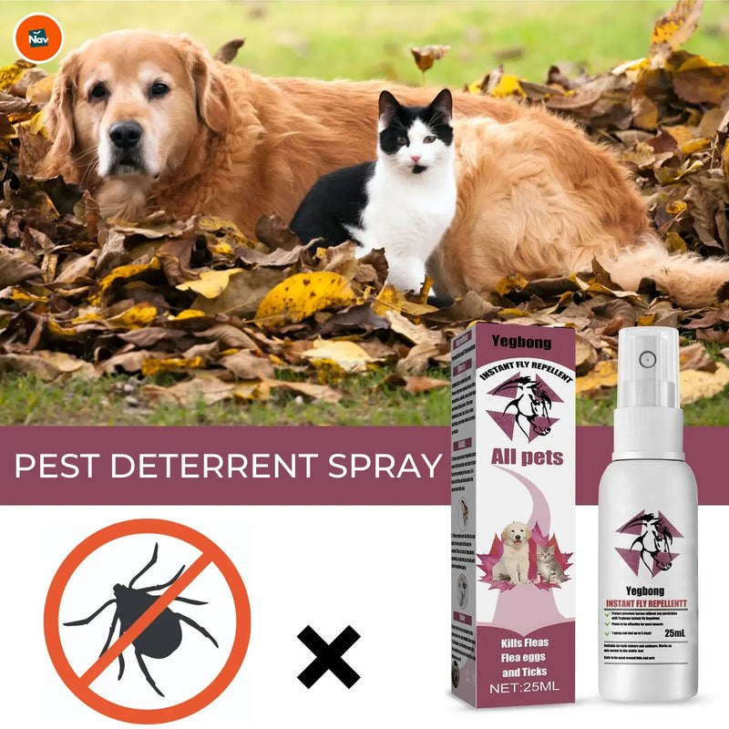 Natural flea and tick prevention
